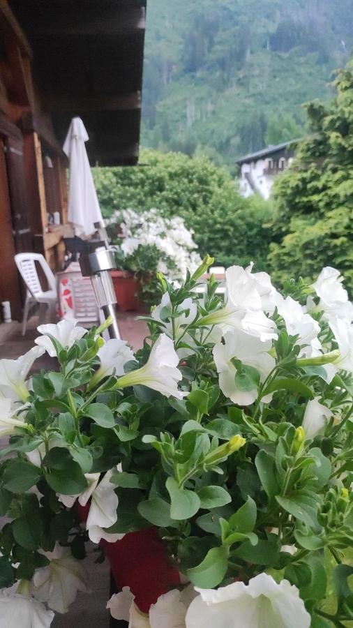 Tellahouse Hotel Chamonix Kültér fotó